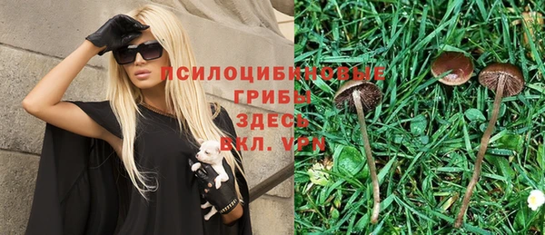 прущая мука Армянск