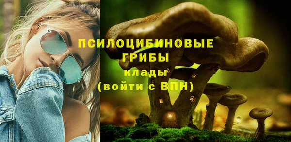 прущая мука Армянск